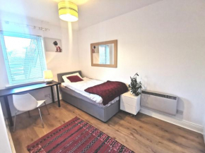 Single room in charming apartment with the terrace and the cat in Sandymount